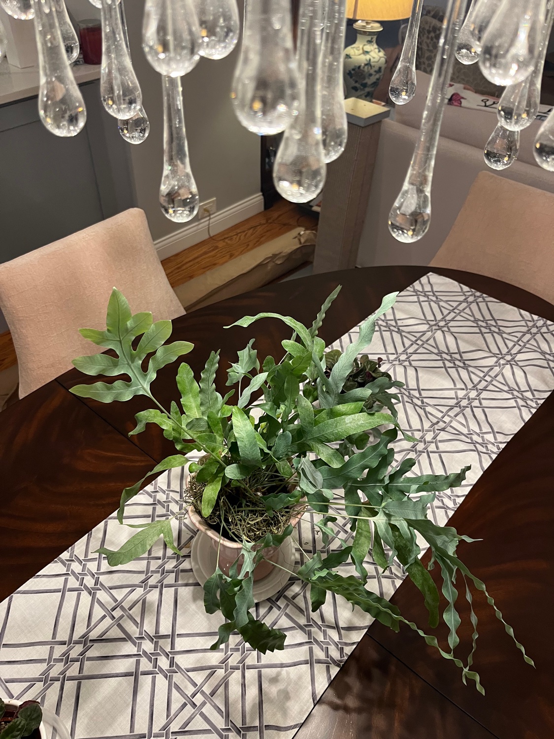 A fern in a pink pot styled as a centerpiece on a dining table